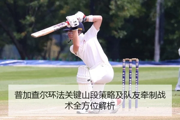 普加查尔环法关键山段策略及队友牵制战术全方位解析